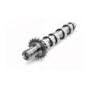 ARBRE A CAMES RL 93051200